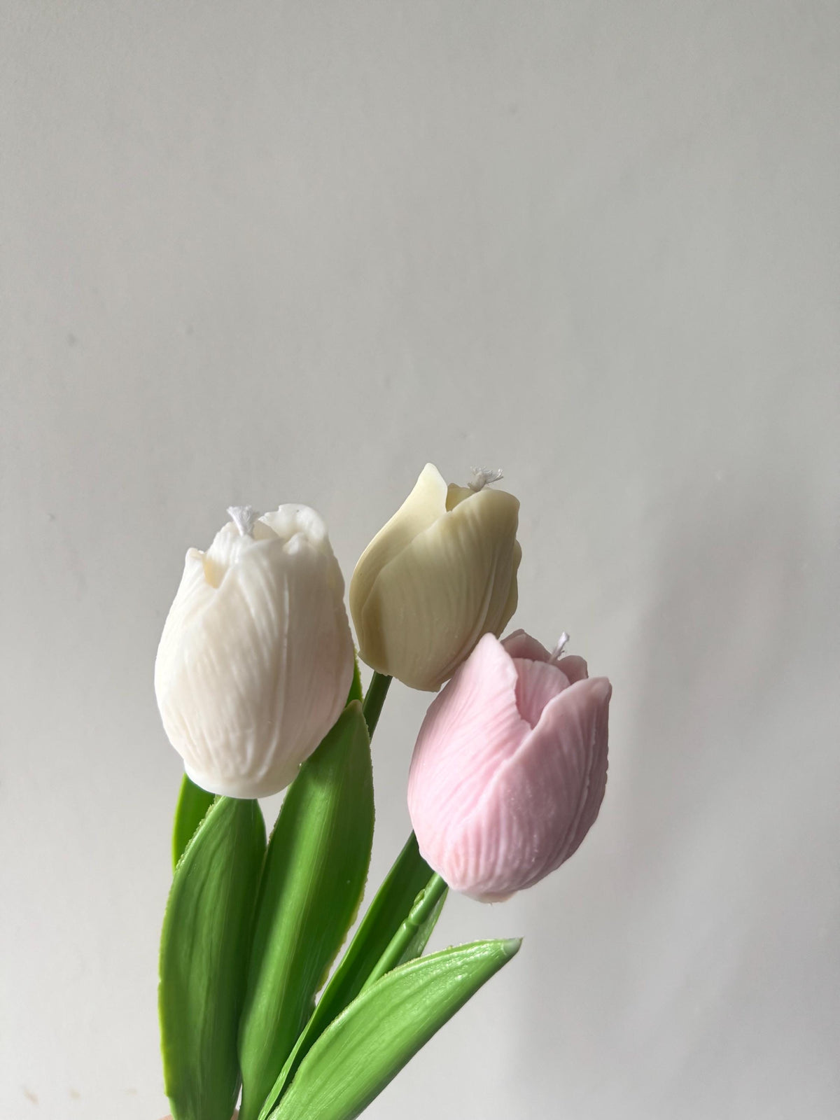 Tulip candle on stem