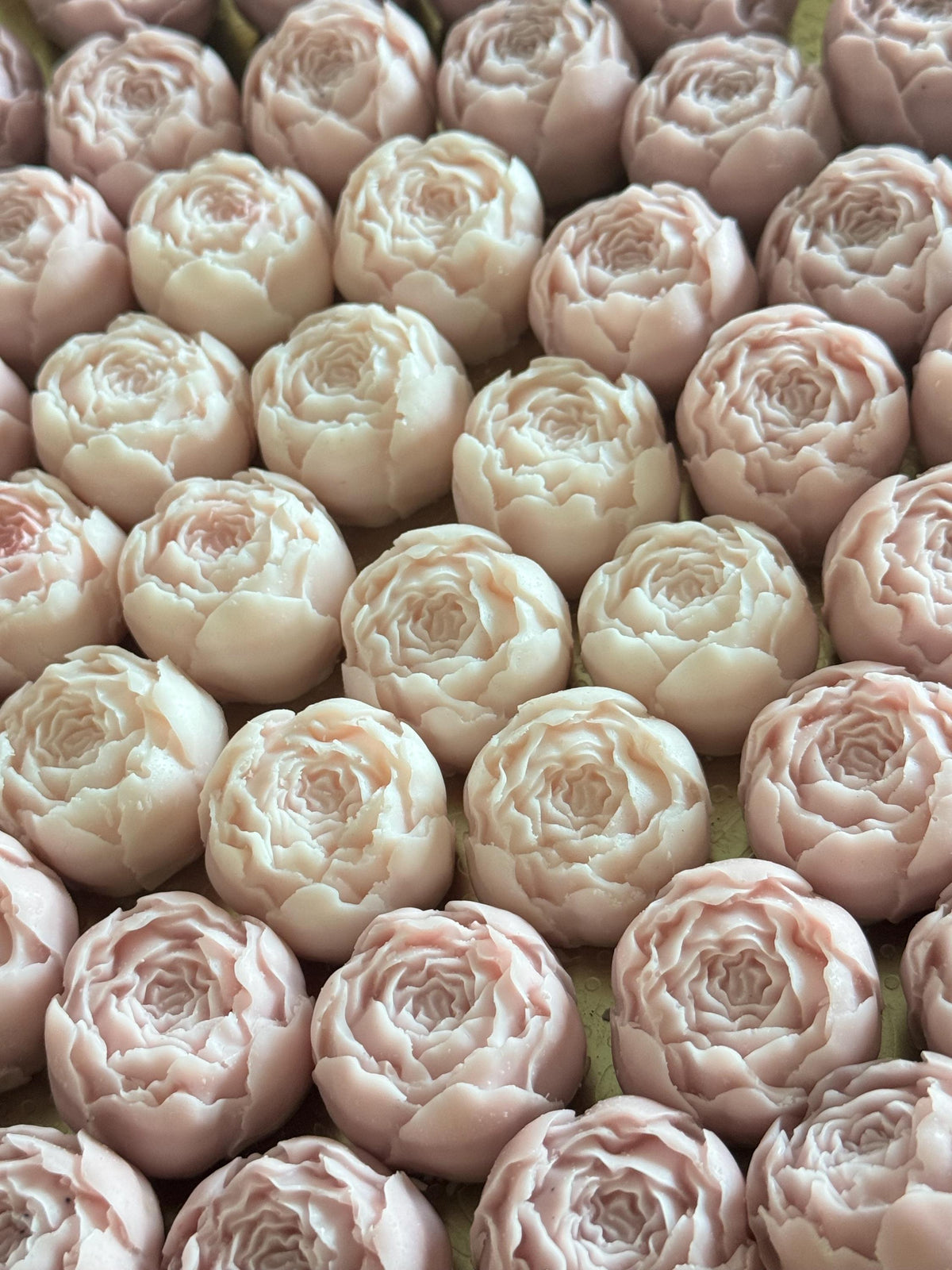 Floral Waxmelt Box