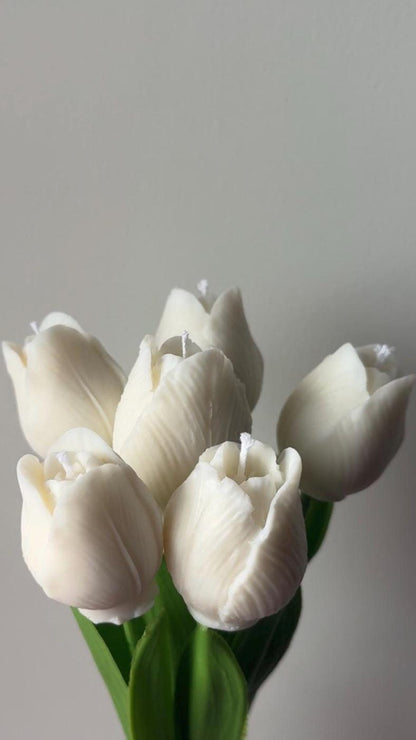 Tulip candle on stem